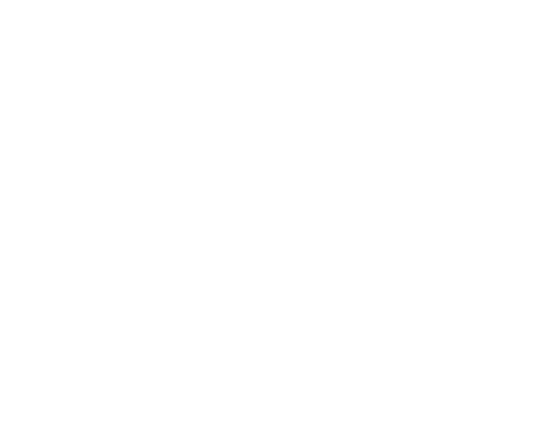 Logo_FAG-INA_Blanco